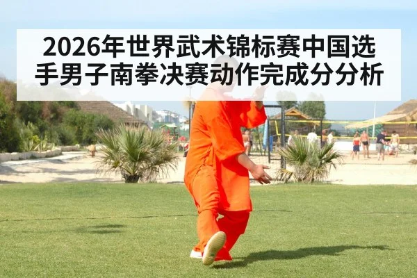 2026年世界武术锦标赛中国选手男子南拳决赛动作完成分分析（kaiyun sport）