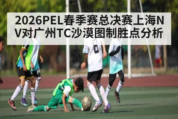 2026PEL春季赛总决赛上海NV对广州TC沙漠图制胜点分析